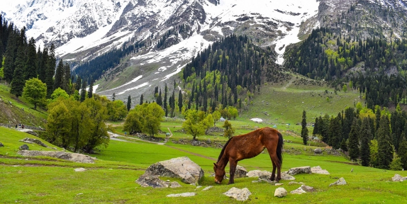 Sonamarg and its surroundings blanketed in snow