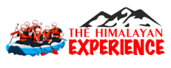 The H Experience