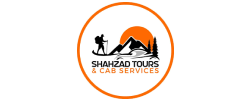 Md Shahzad Service