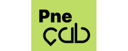 Pne Taxi Cabs