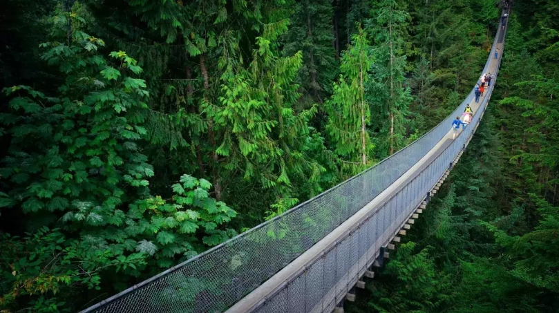 Mumbai’s First Elevated Forest Walkway in Malabar Hill to Open by Year-End