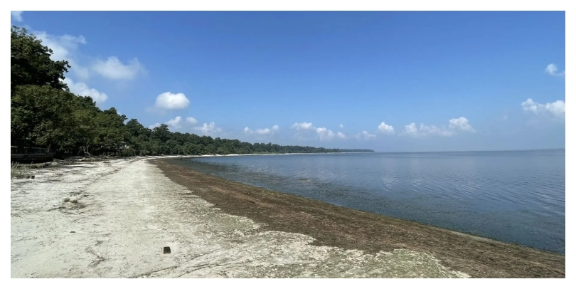 Sharda Rive,Chukha Beach