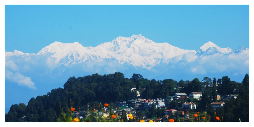 Darjeeling Journey
