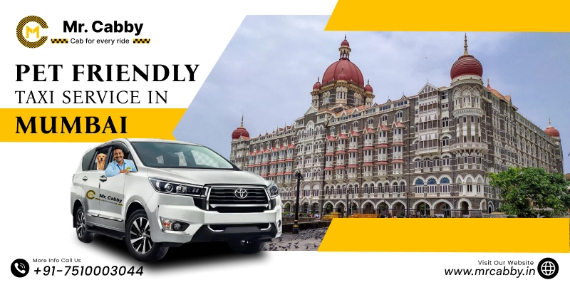 Pet Friendly Taxi Service in Mumbai