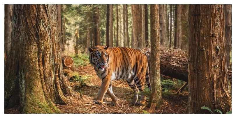 Ranipur Tiger Reserve