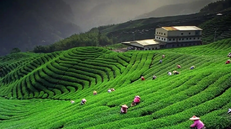 Kausani Uttarakhand