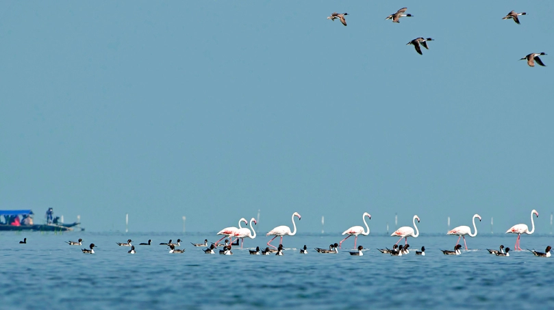 Winter Wonders of Odisha attracts Tourists
